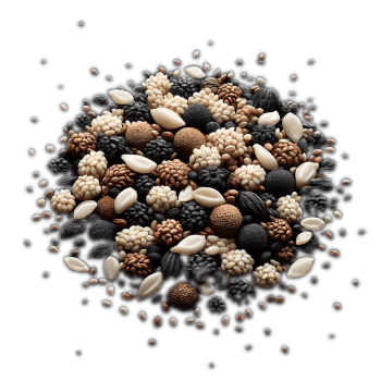 A Rounded & Colourful Pile Of Varying Coloured Sesame Seeds