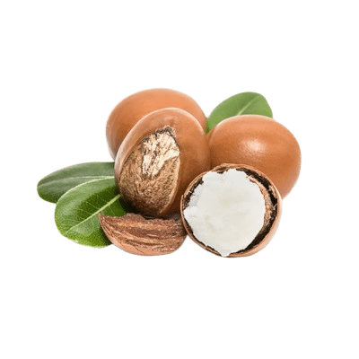 A Portion Of Whole Brown Shea Nuts Alongside A Split White Creamy Nut & Green Leaves