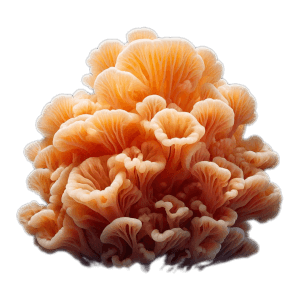 Beautiful Tremella Mushroom Growing Tall In Darkness