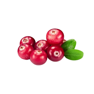 Bright Red Cranberries On White Background