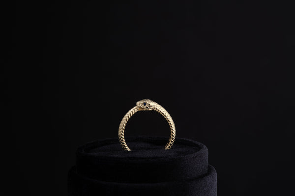 Ouroboros Ring