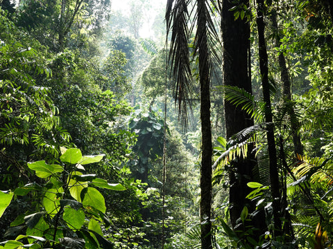 Biodiversität