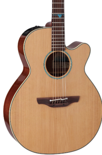 takamine santafe