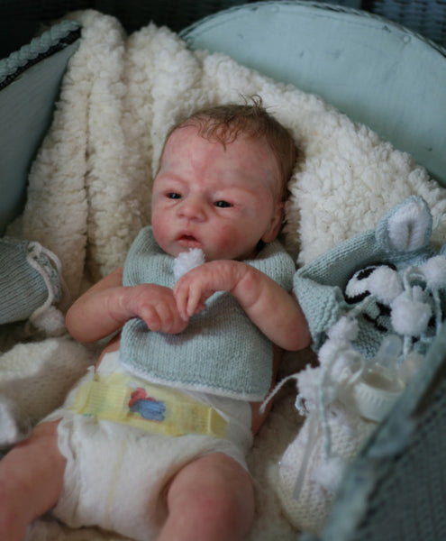 pre owned reborn dolls