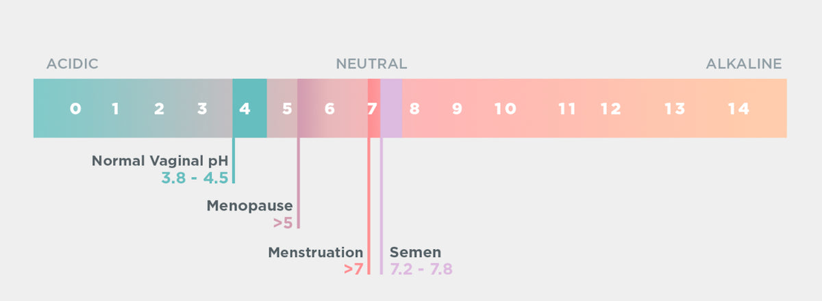 balance - Vaginal bleeding during perimenopause and menopause