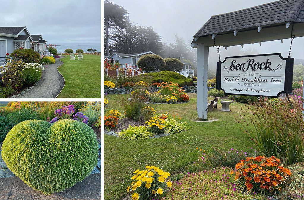 Sea Rock B&B in Mendocino, CA