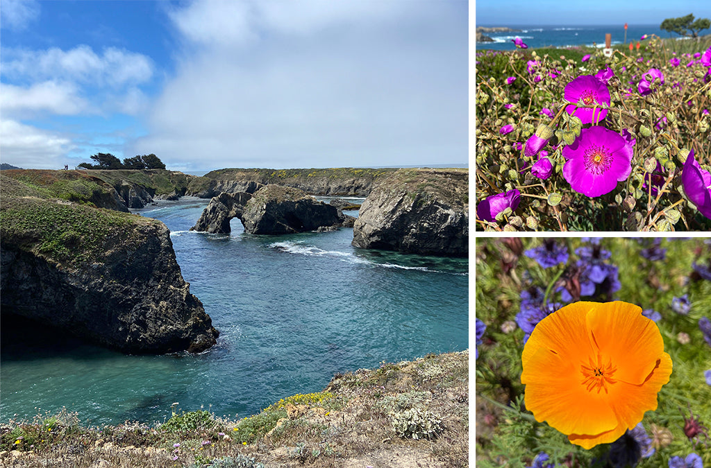 Mendocino Headlands State Park