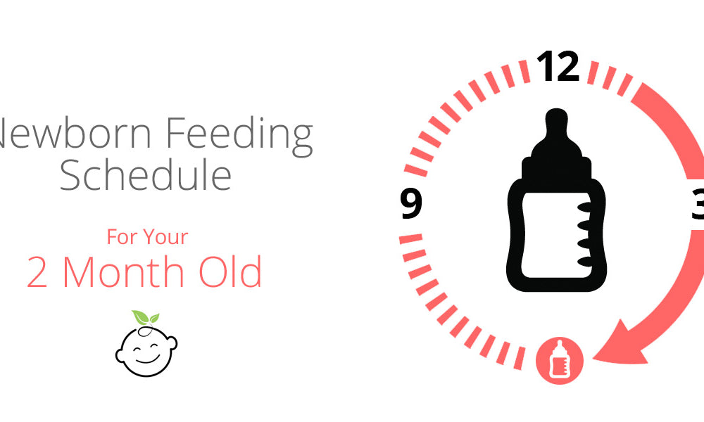Feeding Chart For 1 Year Old Baby