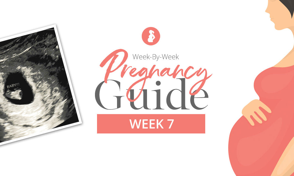 Pregnancy Week 7 Your Weekly Pregnancy Guide Baby Earth