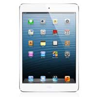 iPad Mini 4 7.9