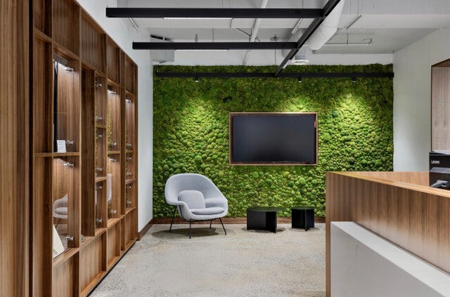 Moss Wall for Your Business, Custom Design