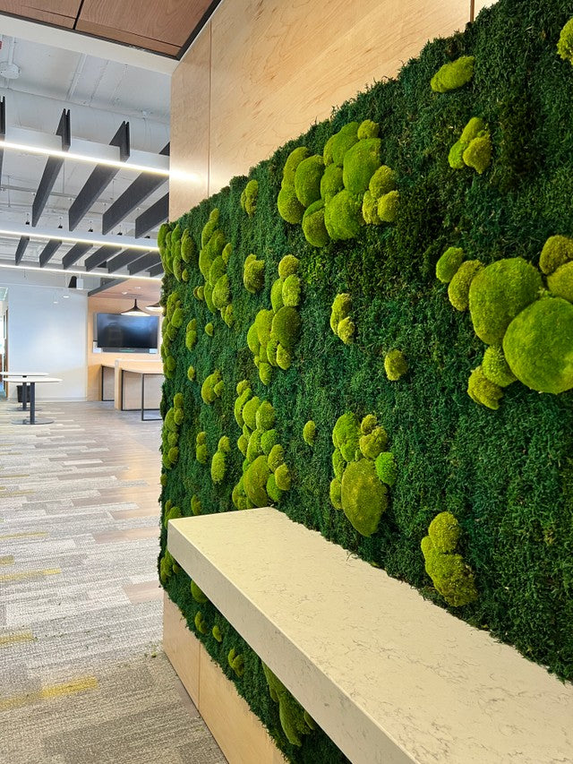 A mixed moss wall featured behind a long creme couch