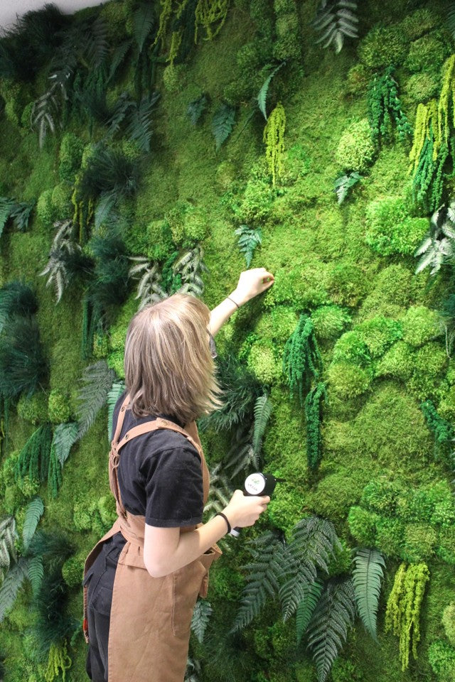 Moss Wall for Your Home, Custom Design