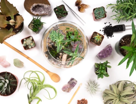 Terrarium and succulents laying on a white table