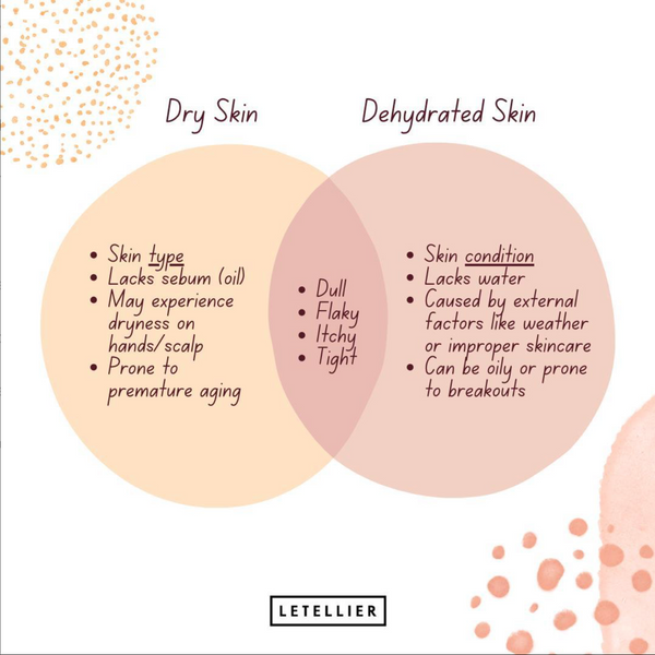 dry skin vs dehydrated skin chart