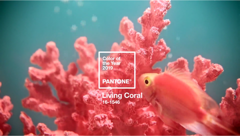 Color Of The Year - Pantone