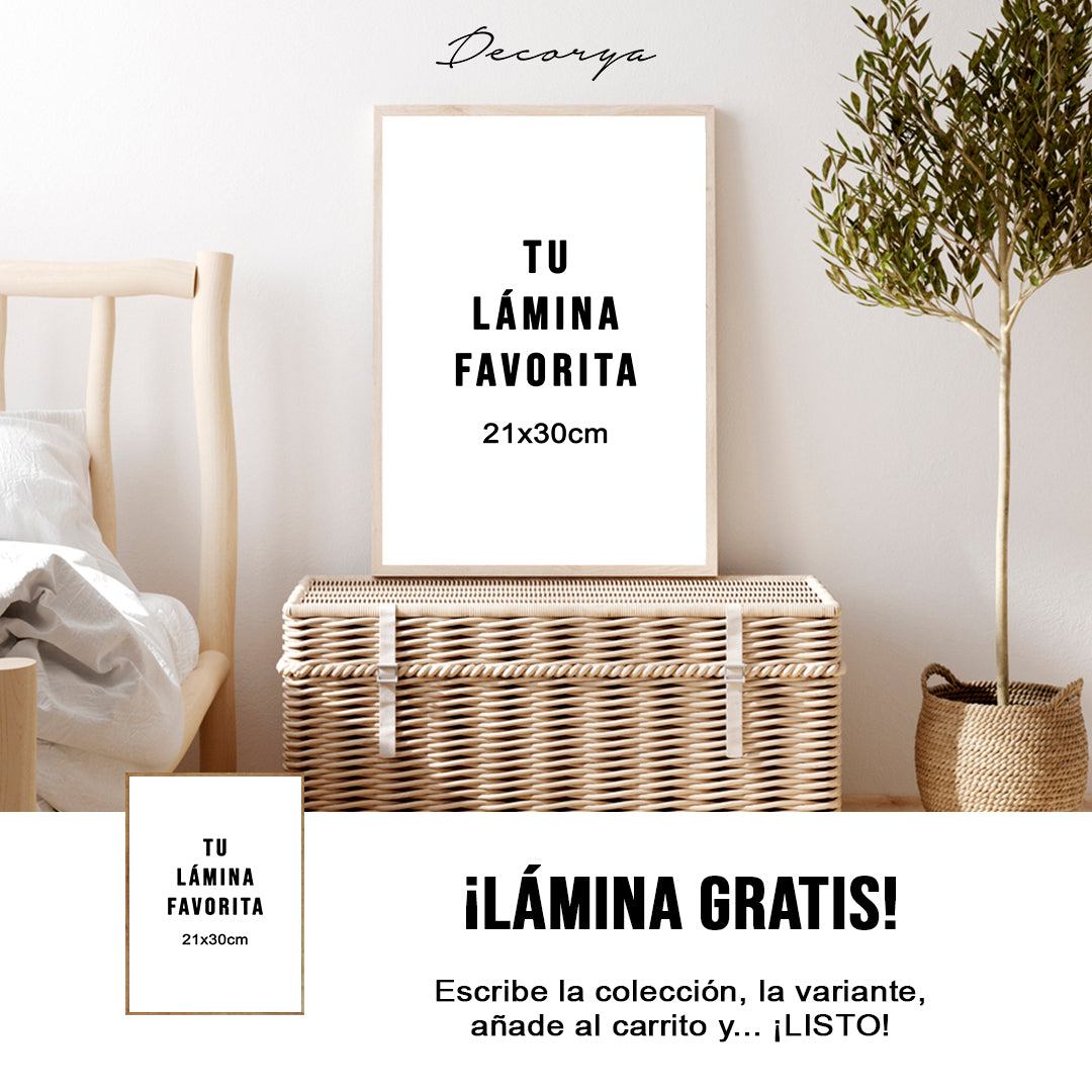 Lámina Campaña Día del Padre – Decorya