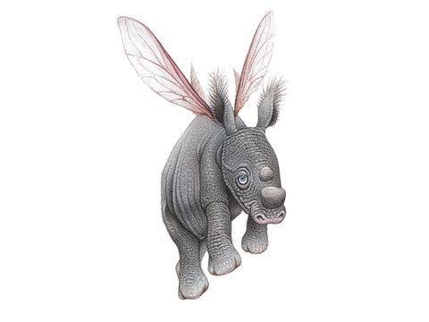 Drawing of a baby rhino with wings of an insect or fairy