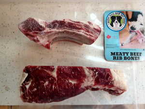 beef short rib bones for dogs