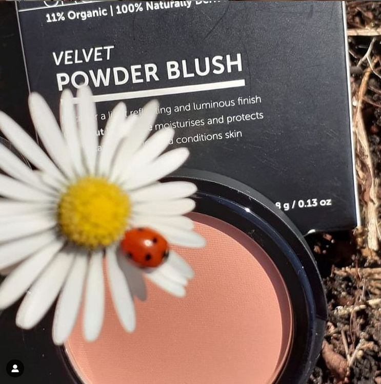 Crop Blush with ladybug on flower