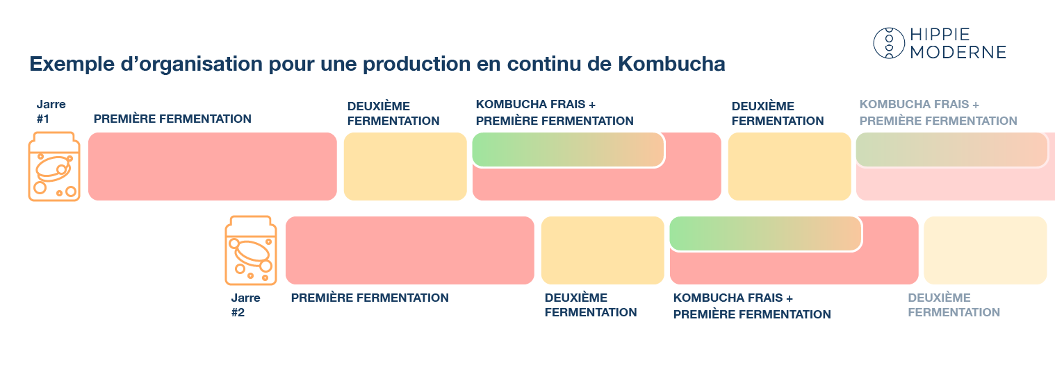 Exemple de planning pour une production en continu de Kombucha