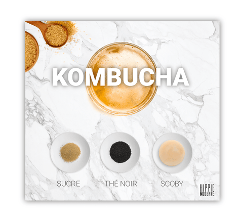 Recette Kombucha 1er fermentation