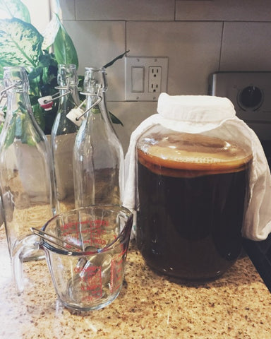 Un Scoby se formant sur le dessus du Kombucha