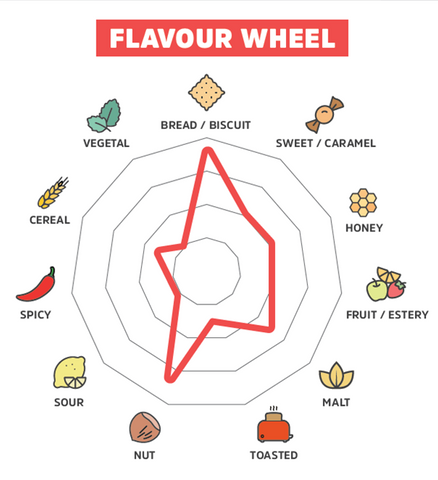 Cadiz Malt Flavour Wheel