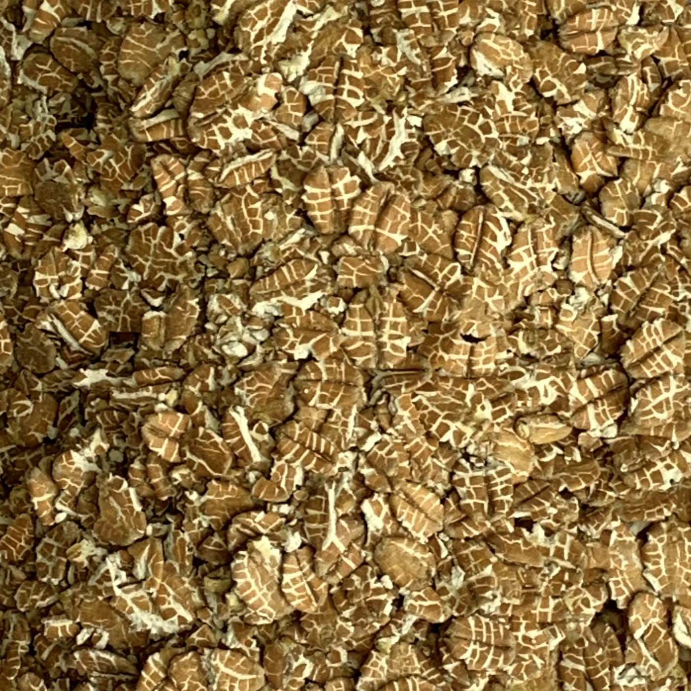 UniGrain Rolled Wheat - NEW!