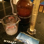 Wyeast Lambic Blend