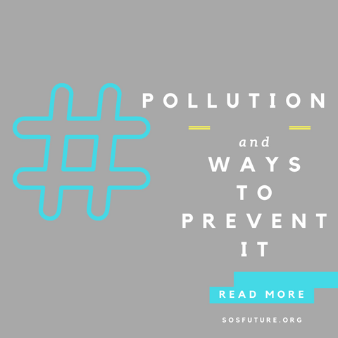 pollution and ways to prevent it