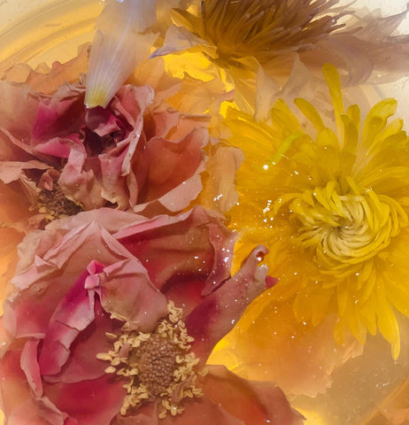 rose chrysanthemum tea