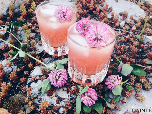 edible flower red clover lemonade wellness