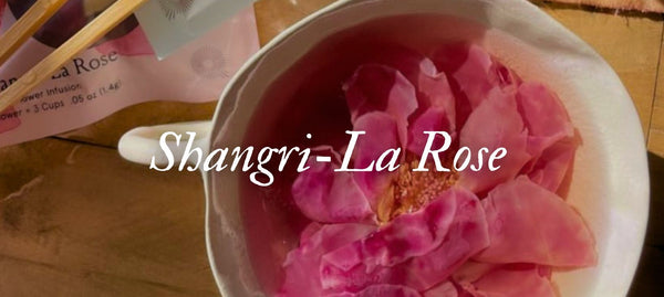 The Qi Shangri-la rose tea