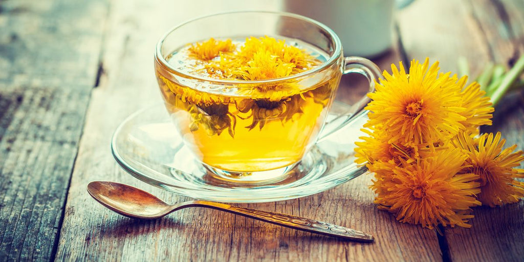 dandelion flower tea wellness herbal 