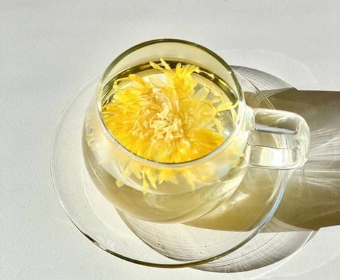 chrysanthemum whole flower tea in a glass teacup