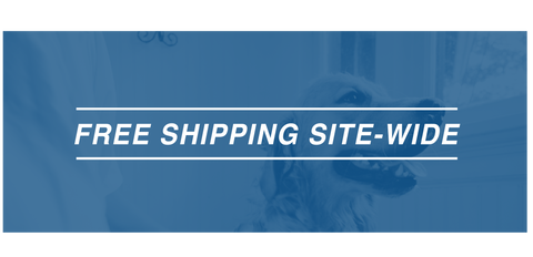 free shipping banner