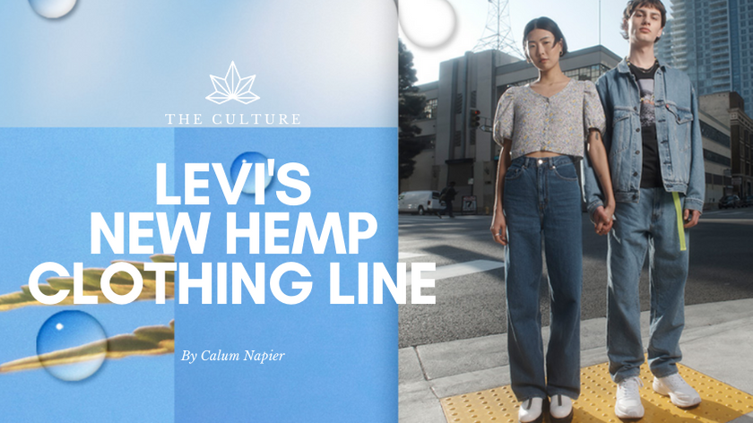 levis hemp