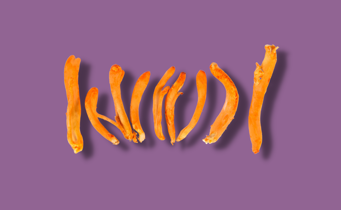 Cordyceps Mushroom, purple background. By The Wee Hemp Company Aberdeenshire, Scotland. Calum Napier