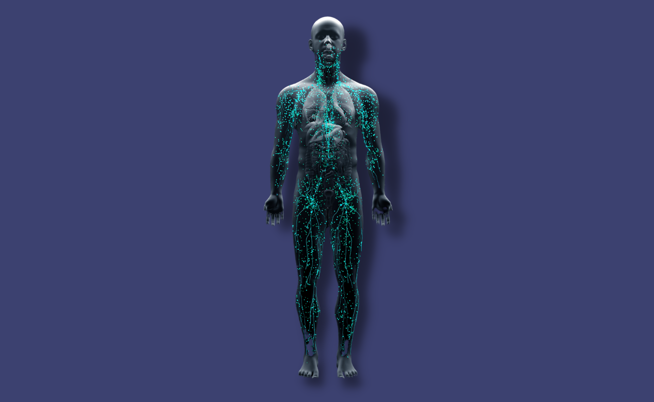 Human Immune system, blue background. Wee Hemp Co. Aberdeenshire, Scotland. Multi award wining CBD Company.