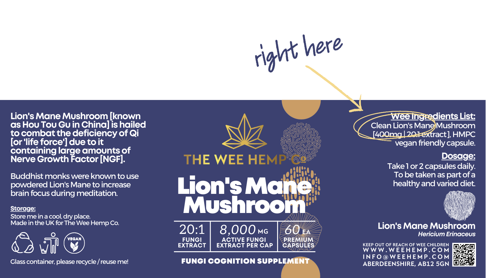 Lion's Mane Mushroom Clean Extract - The Wee Hemp Company, Aberdeenshire, Scotland.