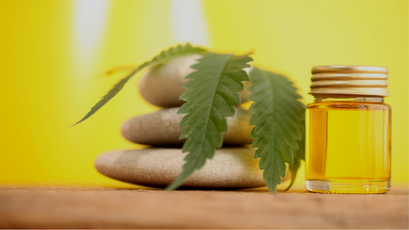 In a long-awaited ruling, the European Court of Justice (ECJ) clarified that the cannabis active ingredient Cannabidiol (CBD) is not to be classified as a narcotic.