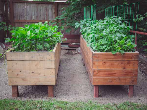 Backyard Raised Planters