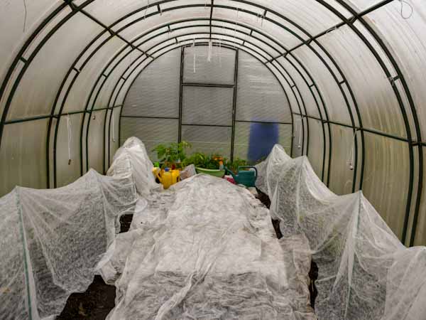 Hoop House with frost blankets