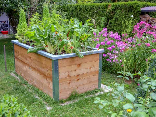 Raised Garden Bed