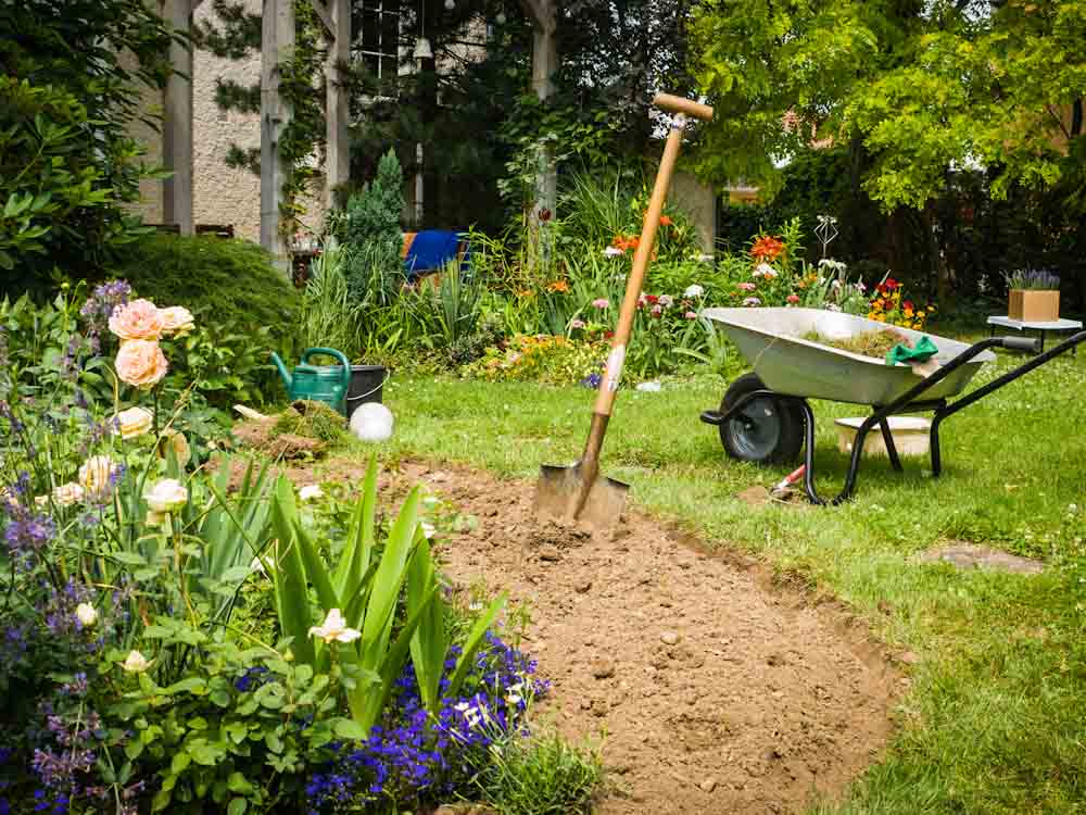 Digging in Garden