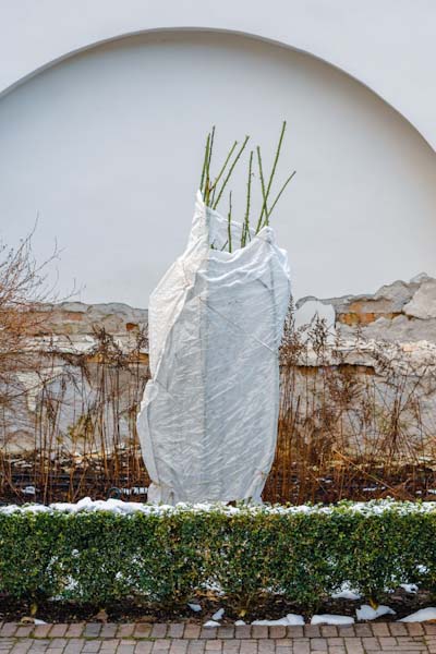 Frost Blanket for Trees — Pro Fabric Supply