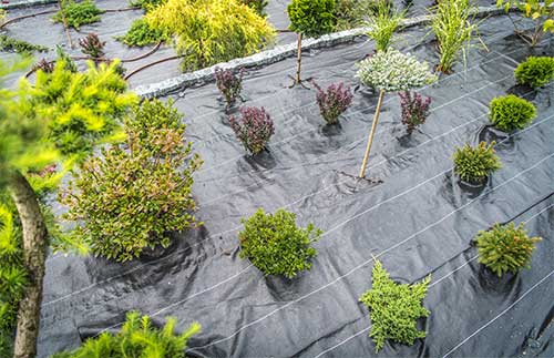 Nursery Ground Cover Fabric