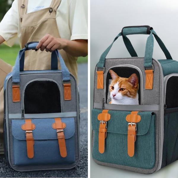 femme posant le sac de transport pour chats et chiens lbdh et un sac de transport pour chats et chiens lbdh avec un chat blanc et roux à l'intérieur