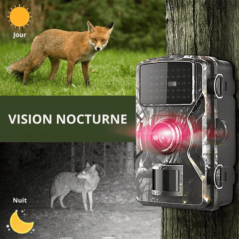 Caméra de chasse infrarouge